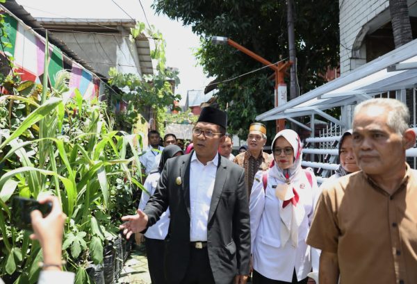 Kunjungi Dua Longwis, Danny Himbau Manfaatkan Semua Lahan Kosong – MakassarKota