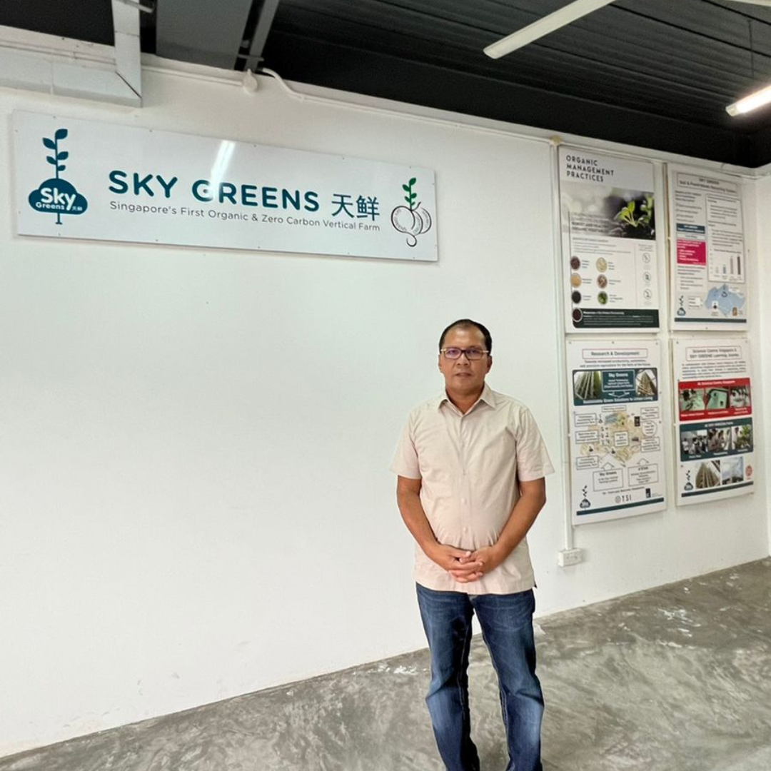 City Farming Sky Greens Singapore Jadi Contoh Penerapan Produksi Sayur Organik di Lorong Wisata – MakassarKota